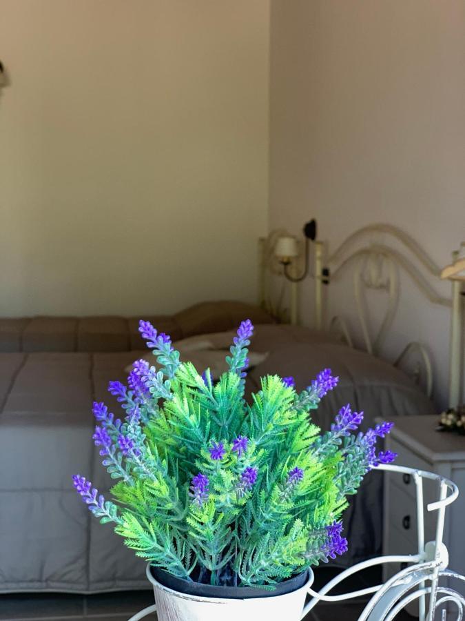 Barsentello Bed and Breakfast Νότσι Εξωτερικό φωτογραφία